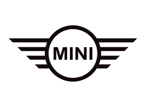 Baterii Auto MINI
