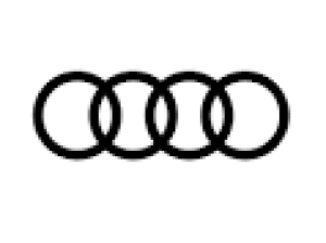 Baterii Auto AUDI