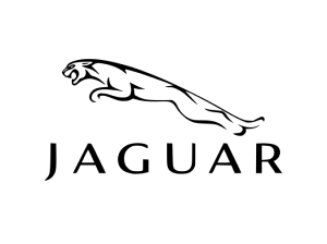 Baterii Auto JAGUAR