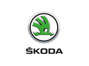 Baterii Auto SKODA