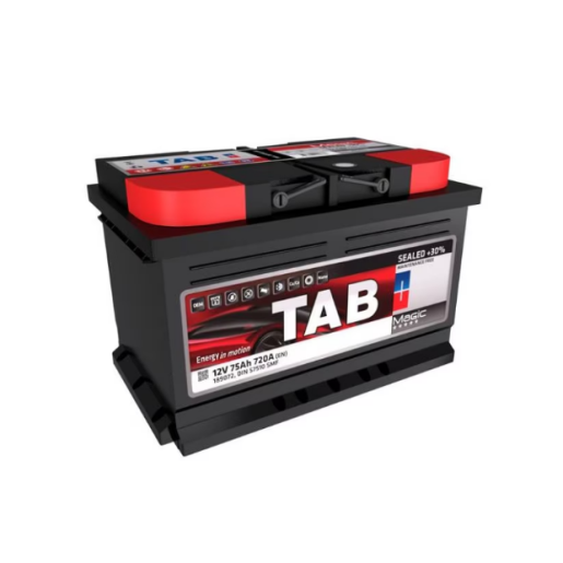 Baterie Tractiune TAB 12V 75Ah