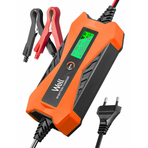 Redresor baterie auto Well 6V 2A