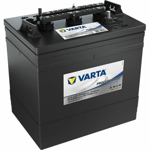 Baterie VARTA Professional Deep Cycle 216 Ah