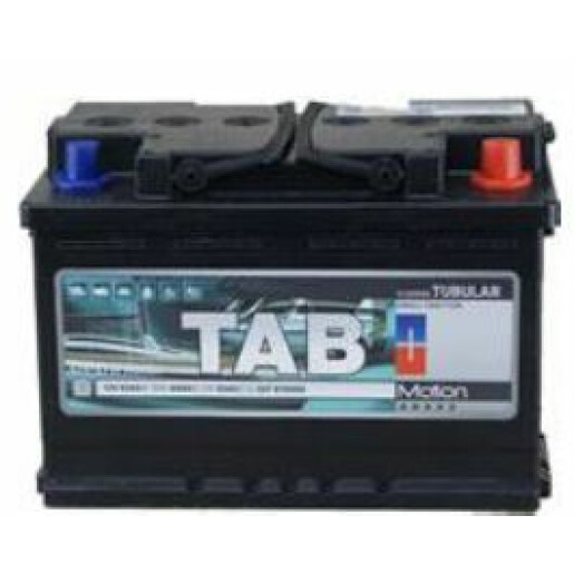 Baterie semitractiune 12V 55Ah (C5) – TAB Motion Tubular 55T