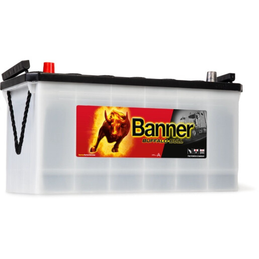 Baterie camion Buffalo Bull 12V100Ah