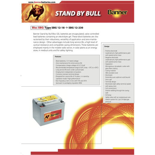 Baterie BANNER Stand by Bull Bloc Gel 12V 100AH