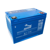 Baterie Tractiune Fullriver DC12V 65Ah