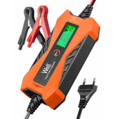 Redresor baterie auto Well 6V 2A