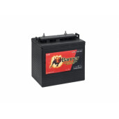 Acumulator Tractiune Banner DC 875 Deep Cycle 8V 170 Ah