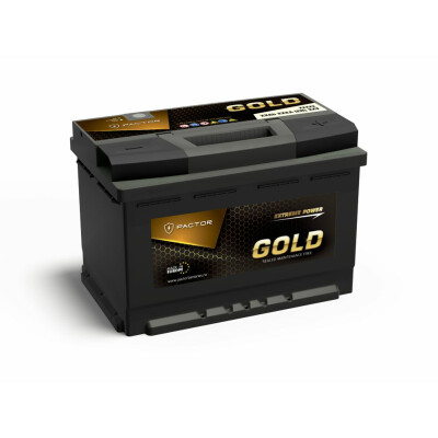 Baterie Auto PACTOR GOLD 55 Ah